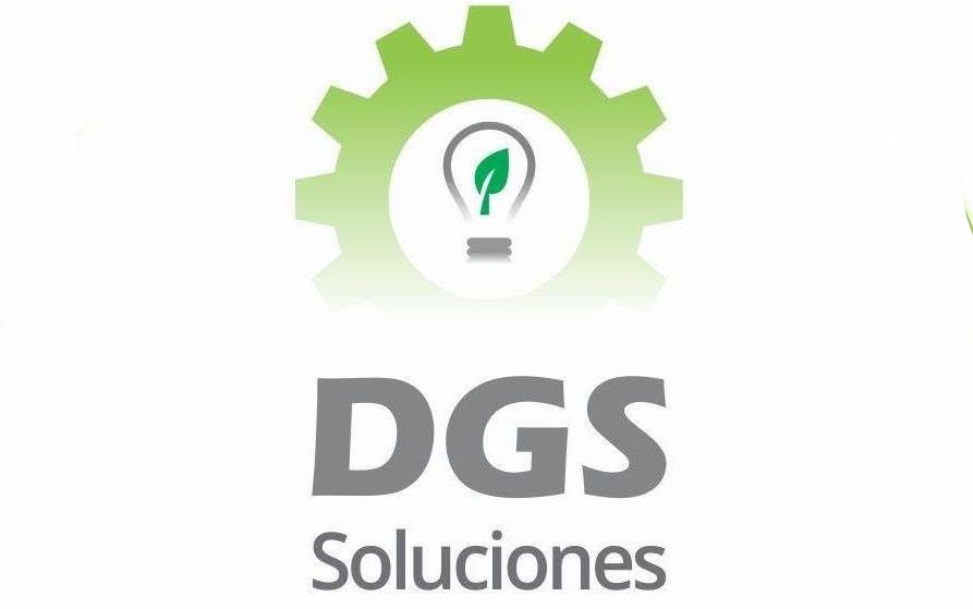 DGS Soluciones (Recomendado)